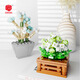 
Shantoulin Village plant building blocks and flowers cute small ornaments DIY assembly toy wholesale XJ-10975(E) Spring Cute