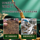 煌家优品冬虫夏草3-4根/g1克装一级断草干草高海拔饱满高品质礼物送长辈