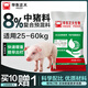 8% of the piglet premix is rich in nutrients, easy to digest and absorb, enlarges the skeleton, fattens and gains weight quickly. 1 bag 40Jin Jin is equal to 0.5kg. Genuine piglet premix (can be fed directly to the slaughter)