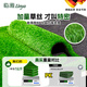 Linya special dense fake lawn outdoor simulated lawn carpet kindergarten lawn mat artificial artificial plastic turf decoration 2cm-14 needle special dense series spring grass-green back 1 meter wide X 2 meters long