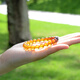 Her Generations Natural Amber Gradient Color Bracelet Colored Amber Ball Bracelet Women's Selected Style 8MM (766768) Comes with Certificate