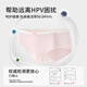 Urban Beauty 4 pieces of HPV-preventable women's underwear, pure cotton, antibacterial, widened, lengthened, crotch, breathable, girls' briefs L