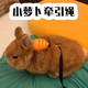Amor's little rabbit traction rope is a special outing tool to prevent dwarf rabbits from breaking away. Rope for chinchillas and dwarf rabbits. Carrot type - yellow 1.2m S size (recommended 0-4Jin Jin is equal to 0.5kg)