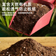 Green nutritional soil for flower cultivation, universal flower soil, potted soil, vegetable planting soil, gardening succulent flower fertilizer soil flower mud