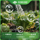 Tian Xiaoxi Fertilizer Flower Fertilizer Universal Nitrogen, Phosphorus and Potassium Compound Fertilizer Vegetable Agricultural Vegetable Household Potted Flowers and Green Plant Fertilizer 50g/bag*1 Vegetable Suitable Fertilizer