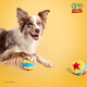 Guiwei dog toy ball, plush, sound-producing, teeth-grinding, chewing-resistant, boredom-relieving, ringing pet toy barking ball