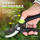 Deli pruning scissors, garden flower pruning branch scissors, fruit tree scissors, thick flower scissors, gardening flower scissors, can cut 0-15mm, labor-saving pruning shears + knife oil + gloves