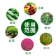 The old variety of urea fertilizer Liaohe urea nitrogen fertilizer flower fertilizer universal potted flower cultivation vegetable vegetable urea (nitrogen fertilizer) 5Jin Jin is equal to 0.5 kg
