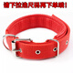Hui Chong Er 2m 3m Reflective Extended Dog Collar Leash Dog Rope Dog Walking Teddy Golden Retriever Pet Large, Medium and Small Dogs Single Collar Red Please drop down to select size L size (approximately 20-40Jin Jin is equal to 0.5kg)