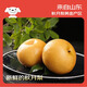 Jingxiansheng Shandong Yantai Laiyang Qiuyue Pear Net weight 4Jin Jin is equal to 0.5kg Single fruit 200g+ Fresh fruit Straight from the source