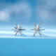 Luxury Pearl PT950 snowflake platinum earrings new fashion niche design platinum earrings high-end 1.09g