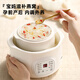 LOTOR multi-function electric stew pot, household water-proof stew pot, small capacity soup pot, bird's nest stew pot, stew pot, baby porridge artifact DDZ-9B basic model