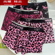 
Mi Lan MIELANAT men's underwear leopard print ice silk four corner pink sexy boxer pants low waist 7A crotch fashionable boy 1375+1376+13783 packages within L120