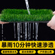Qingya simulated lawn carpet, fake turf bedding, plastic outdoor artificial court, artificial fence, kindergarten green floor mat, 2 cm, newly upgraded 11-pin encryption, high-quality B-grade model (2 meters wide and 25 meters long) 50 square meters