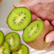 Beijing fresh Guizhou Xiuwen kiwi green heart kiwi 24 pieces single fruit 90-110g gift box fresh fruit straight from the source