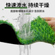 Elegant simulated lawn carpet, artificial green balcony decoration mat, artificial outdoor kindergarten plastic fake turf floor mat, 2cm rubber white bottom, non-removing type (0.8m wide)