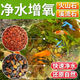 Natural volcanic stone stream stone fish tank decoration package natural native aquatic landscaping bottom sand special stones small grains 2Jin Jin is equal to 0.5kg volcanic stone + 2Jin Jin is equal to 0.5kg stream stone king fried combination ancient method of fish farming to stabilize water quality without changing water