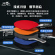 Pisces (DOUBLE FISH) Kirin S6 table tennis racket, competition-level racket, professional-level pen-hold and horizontal shot, beginner's racket, a pair of pen-hold shots