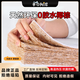 冬日阳光扭力椰棕乳胶硬床垫家用1.5米1.8酒店软硬两用厚款民宿 扭力弹簧20cm云朵/经济型 1350mm*1900mm