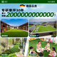 Qingya simulated lawn carpet, fake turf bedding, plastic outdoor artificial court, artificial fence, kindergarten green floor mat, 2 cm, newly upgraded 11-pin encryption, high-quality B-grade model (2 meters wide and 25 meters long) 50 square meters
