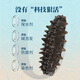 Shangpintang Dalian organic ready-to-eat sea cucumber 1 Jin Jin is equal to 0.5 kg 15-20 individually packed ready-to-eat Liao sea cucumbers