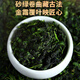 Hangsong Oolong Tea Anxi Tieguanyin Fragrance Tea Gift Box Special Small Can 150g*2 Box for Parents and Elders
