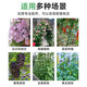 
Plant climbing stand cucumber beans tomato stand plant support pole gardening flower stand grape garden outdoor diameter 8mm length 150cm [10 pieces]