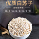 New white perilla large grain perilla seed bird food canary hibiscus bird oriole pearl white swallow jade bird food parrot bird food 100g white perilla seed