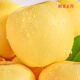 Jingdida Yantai Qixia Apple Cream Fuji Apple 25 Years New Fruit Grade 80 5Jin Jin is equal to 0.5 kg Yantai Apple Fruit Directly from the Source