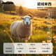 Lilang woolen suit jacket men's sheep wool suit top 25 autumn men's single suit small suit