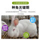 Sino-US Puke 4% rabbit premix rabbit premix baby rabbit meat rabbit fattening rabbit feed female rabbit premix veterinary 4% growth/fattening premix (40Jin Jin equals 0.5kg)