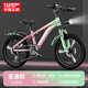 Feige children's bicycle 6-12-18 years old male and female children, students, middle and large children's off-road mountain bike pink and green 20-inch variable speed