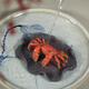 Wanhuyuan purple sand tea pet ornaments tea play color changing crab tea set accessories can raise Kung Fu tea set handmade purple sand creative hairy crab tea tray tea table decorations tea ceremony tea tasting utensils color changing crab