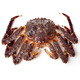 
Russian king crab imported fresh and quick-frozen whole crab legs, seafood and aquatic products gift box festival 4.5-5 Jin [Jin equals 0.5 kg]/one (1 Jin [Jin equals 0.5 kg] shrimp)