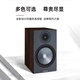 天逸(Winner)AD-86D多功能超甲类家用功放机大功率发烧级HiFi功放音响套装2.0高保真数字功放 天逸AD-86D +Bronze 铜100