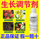 Wing percentage 1.8% sodium nitrophenolate growth regulator for rooting, strengthening seedlings, antidote for pesticide damage, preserving flowers and fruits, increasing production, aqueous pesticide 500g*1 bottle