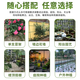 
Plant climbing stand cucumber beans tomato stand plant support pole gardening flower stand grape garden outdoor diameter 8mm length 150cm [10 pieces]