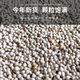 New white perilla large grain perilla seed bird food canary hibiscus bird oriole pearl white swallow jade bird food parrot bird food 100g white perilla seed