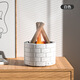 LZJV cross-border simulated flame aromatherapy machine creative campfire atmosphere lamp household small office flame humidifier aromatherapy machine white campfire aromatherapy machine