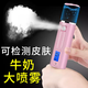Handheld cold spray rechargeable girl's skin test steaming face mini portable moisturizing beauty white luxury model (water tank 40ML)