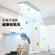 NVC government-subsidized Lengba kitchen special Lengba two-in-one lighting and blower integrated bathroom air cooler Y031