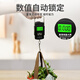 Padilin Portable High-Precision Portable Electronic Scale Mini Hook Scale Weighing Scale Electronic Scale