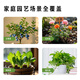 Bihu home gardening compound fertilizer plant fertilizer flower fertilizer water-soluble fast-acting granules high potassium to promote flowering and fruit 420g*1 bottle
