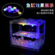 Trendy lifestyle electrical appliances lantern fish tank 1 fish tank (comes with colorful stones and water plants)