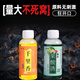 Shengxilu High Concentration Small Medicine Fruit Acid Barley Sweet Potato Paste Concentrated Nest Feed Wild Fishing Crucian Carp Carp Black Pit Fishing Bait 1 bottle Concentrated Barley Sweet Potato Paste 60ml No Specifications