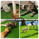 Simulated lawn pet toilet mat, fake turf balcony, artificial turf for dogs and cats to urinate and defecate, artificial carpet mat, 2cm spring grass encryption upgrade, wear-resistant model 1 square meter, high-efficiency peeing grass