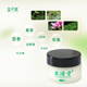 Liqingning Skin Repair Cream Herbal Extract Repairing Chapped Hands and Feet Liqingning Moisturizing Cream Bottle (30g)
