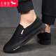 Red Dragonfly (Red Dragonfry) Zapatos de pedal de un pie zapatos de pedal de un pie para hombres y otoño nuevos zapatos casuales de hombres suaves para hombres para conducir la comodidad y los zapatos livianos de lona perezoso C0TT00301 Negro 41