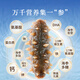 Tongrentang Sea Cucumber Dalian Ready-to-eat Sea Cucumber Seafood Liao Cucumber 1000g 16-20 pieces with solid content exceeding 80%, fresh and not gift box