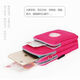Small bag mini running arm bag mobile phone bag women's crossbody wrist bag hanging bag ultra-thin middle-aged mother and the elderly black-2 layers